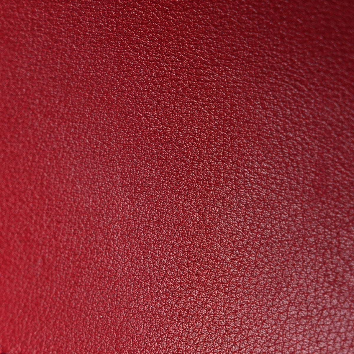 Patent Calfskin Quilted Small Plexiglass Boy Flap Red