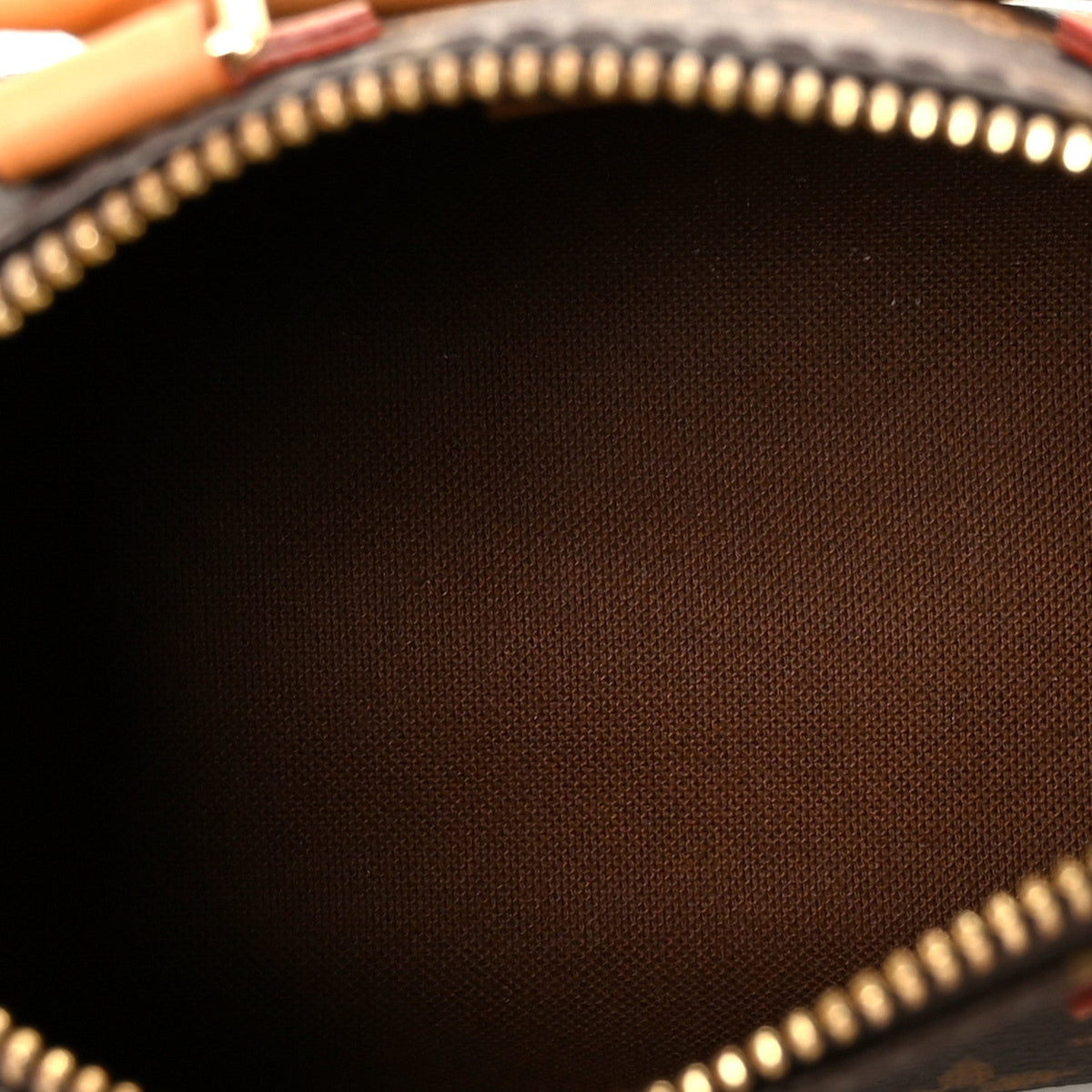 Monogram Nano Speedy Bandouliere