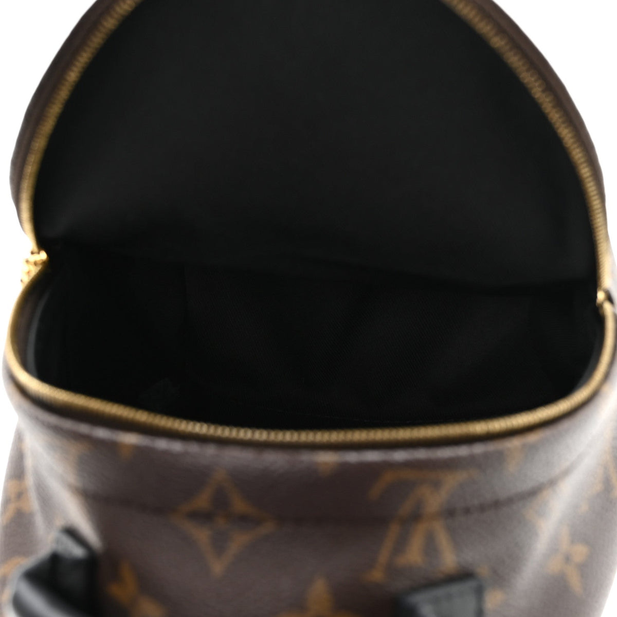 Monogram Palm Springs Backpack Mini