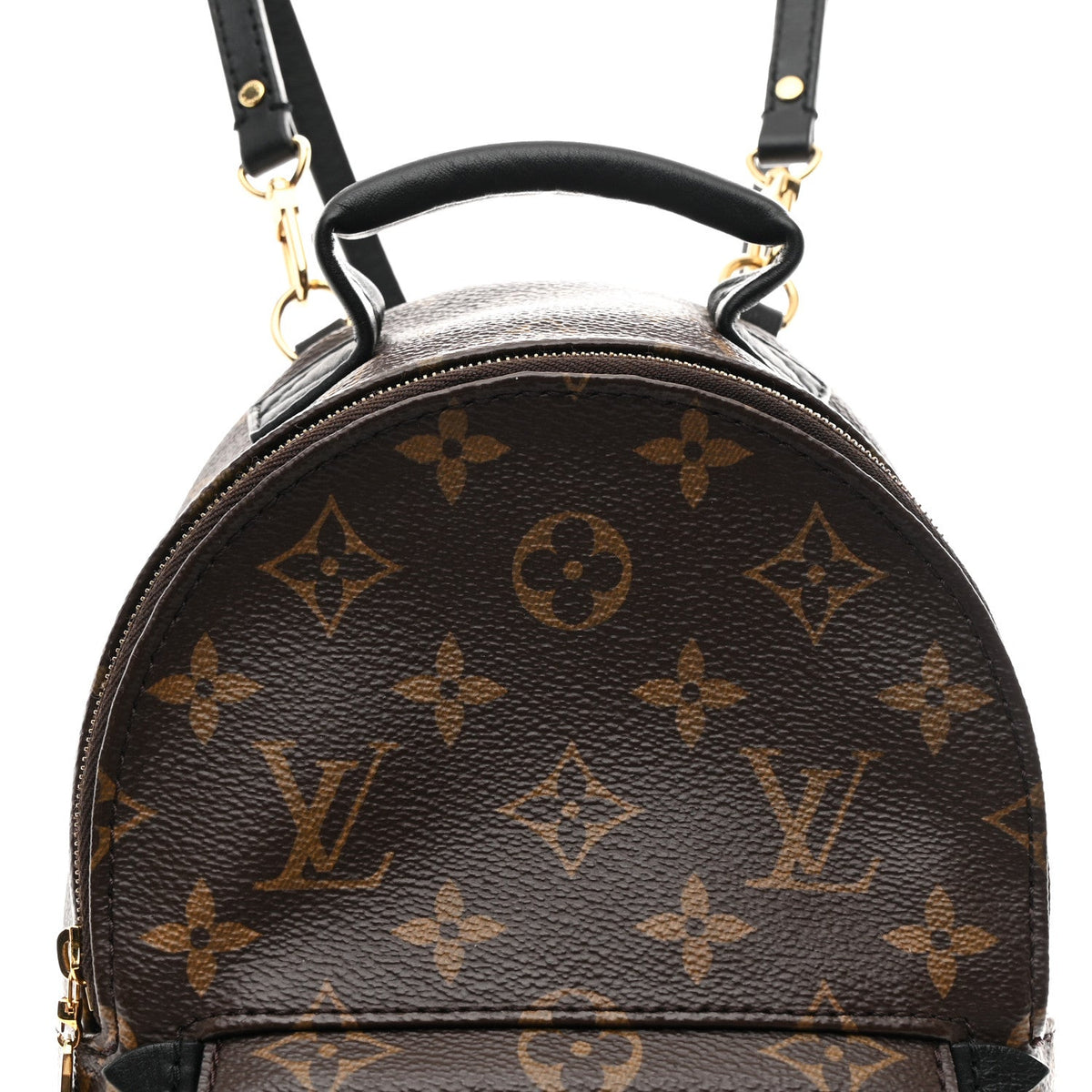 Monogram Palm Springs Backpack Mini