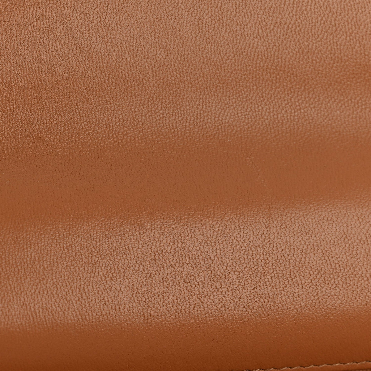 Lambskin Quilted Chanel 19 Wallet On Chain WOC Brown