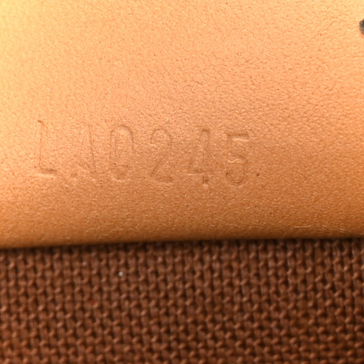 Monogram Nano Speedy Bandouliere