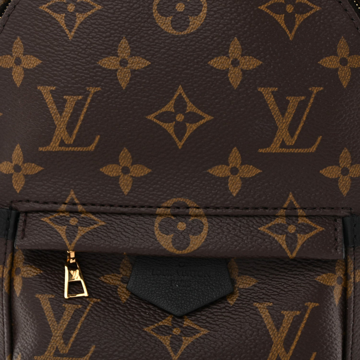 Monogram Palm Springs Backpack Mini