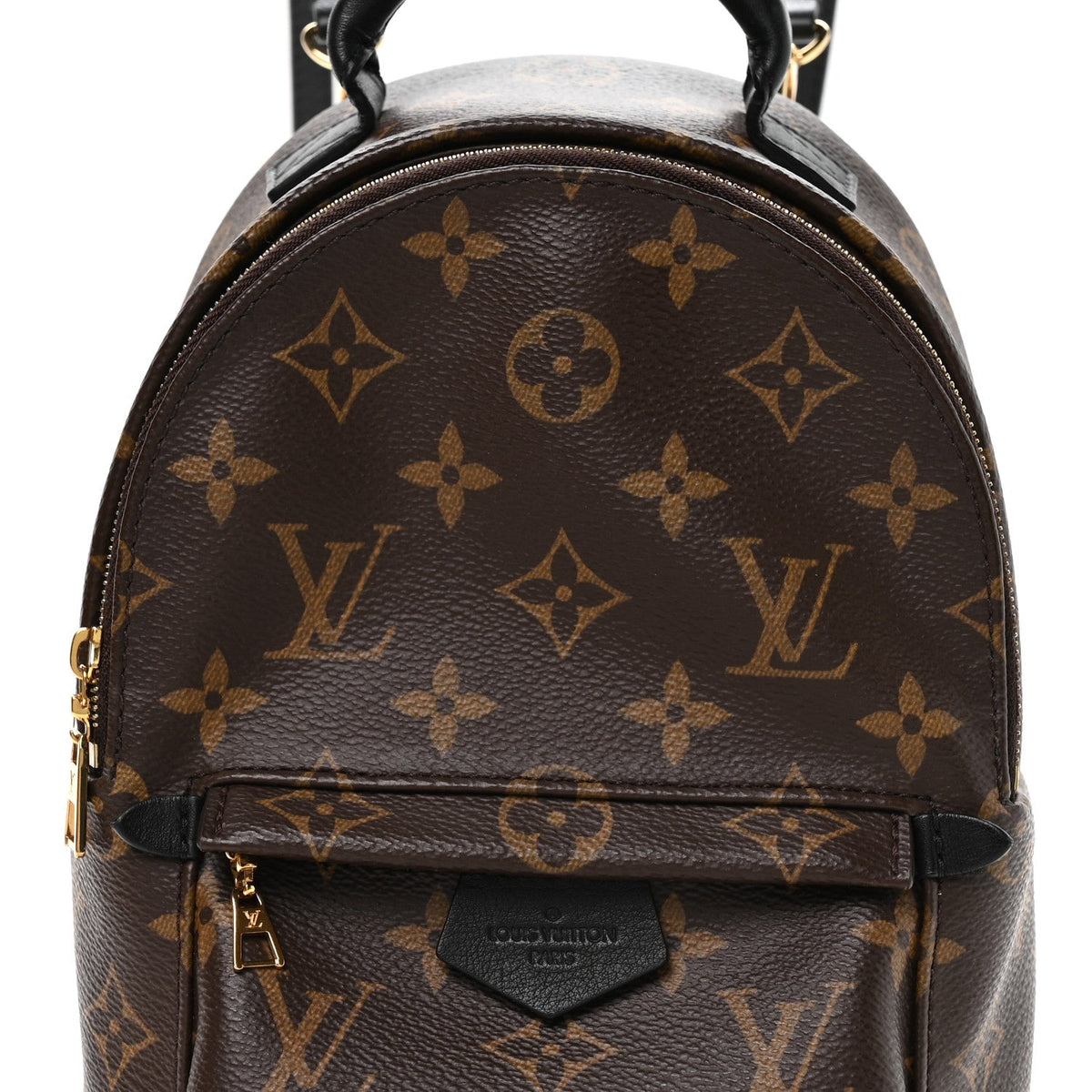 Monogram Palm Springs Backpack Mini