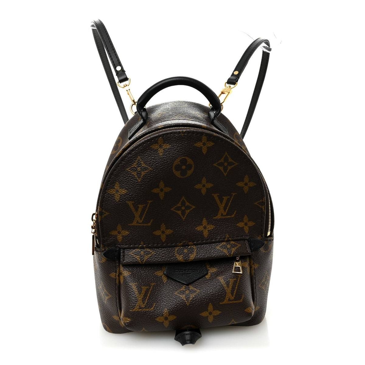 Monogram Palm Springs Backpack Mini