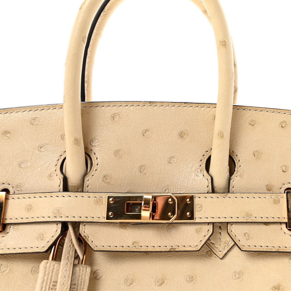 Ostrich Birkin 25 Parchemin
