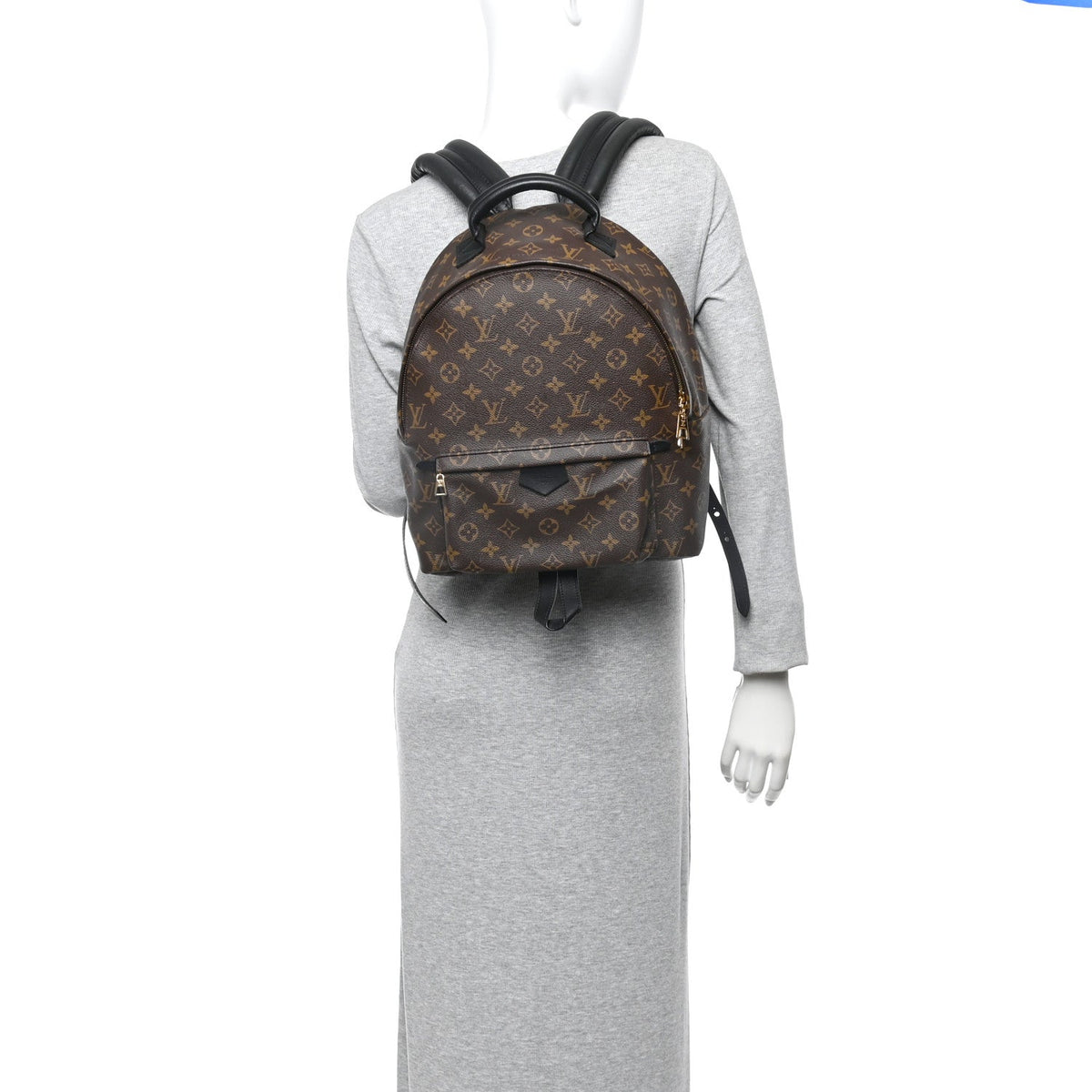Monogram Palm Springs Backpack MM