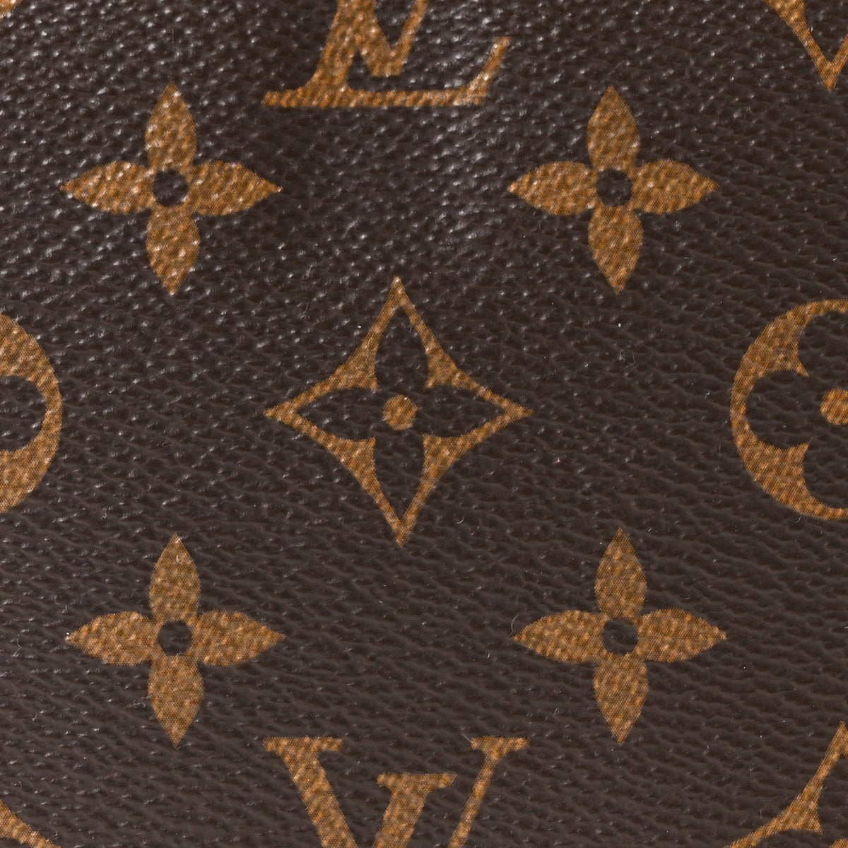 Monogram Chain Pochette Accessories