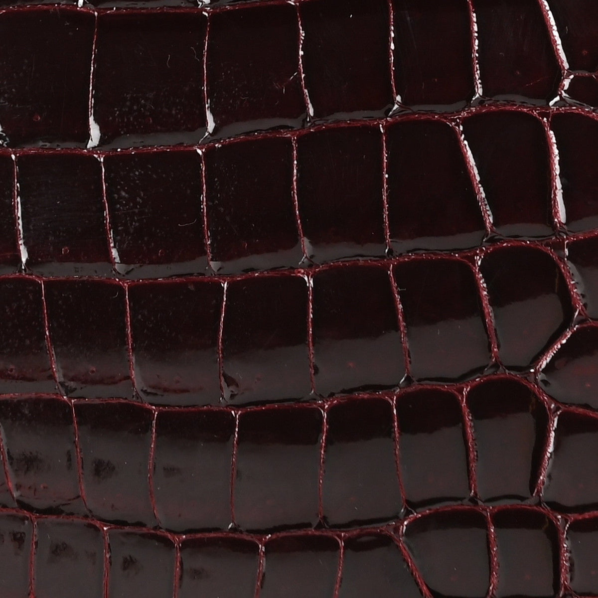 Shiny Porosus Crocodile Birkin 35 Bourgogne