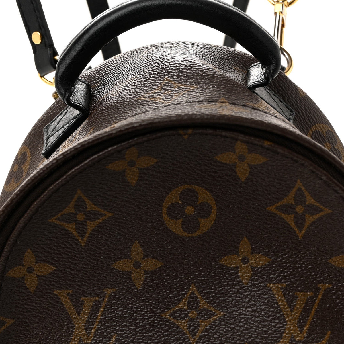 Monogram Palm Springs Backpack Mini