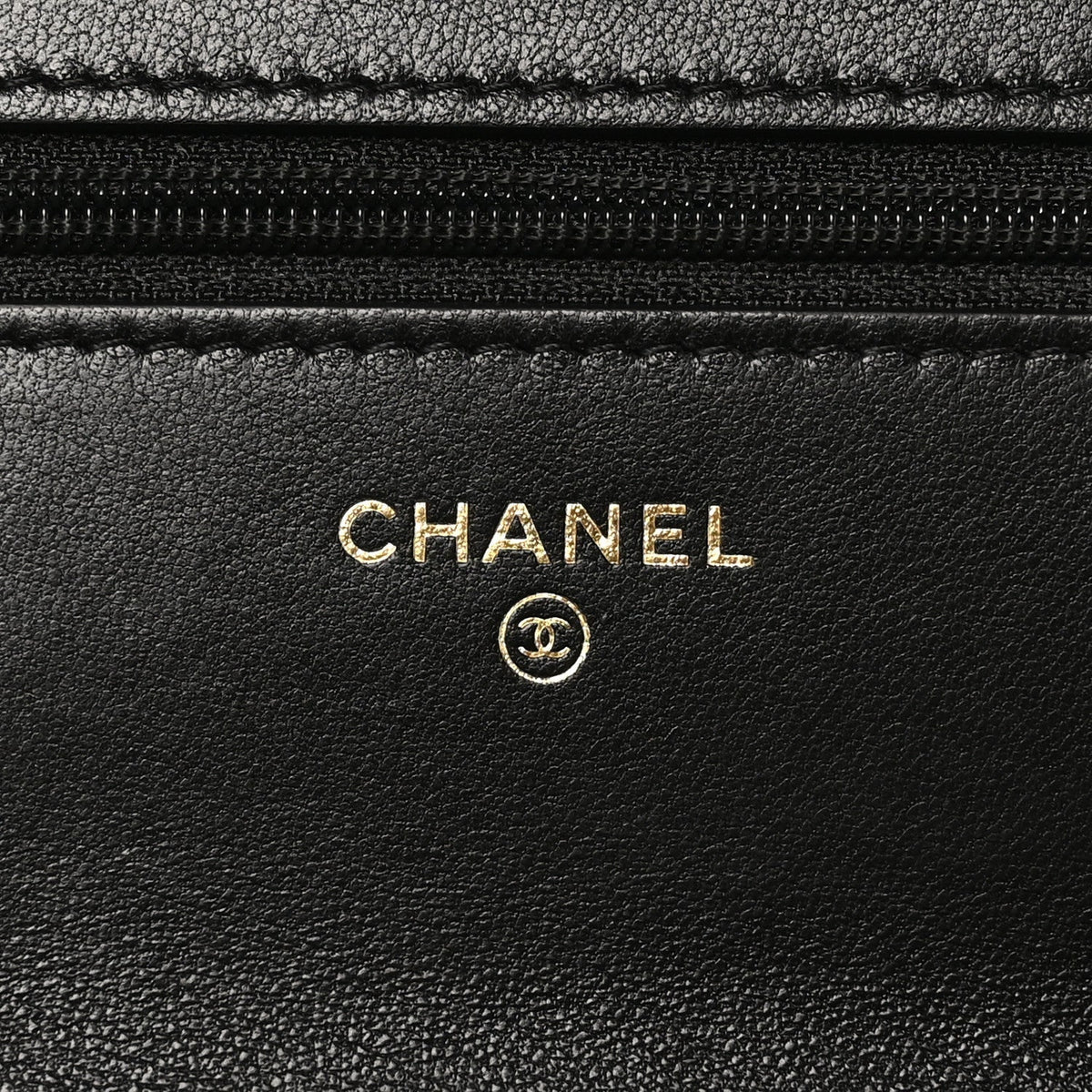 Lambskin Quilted Chanel 19 Wallet On Chain WOC Black